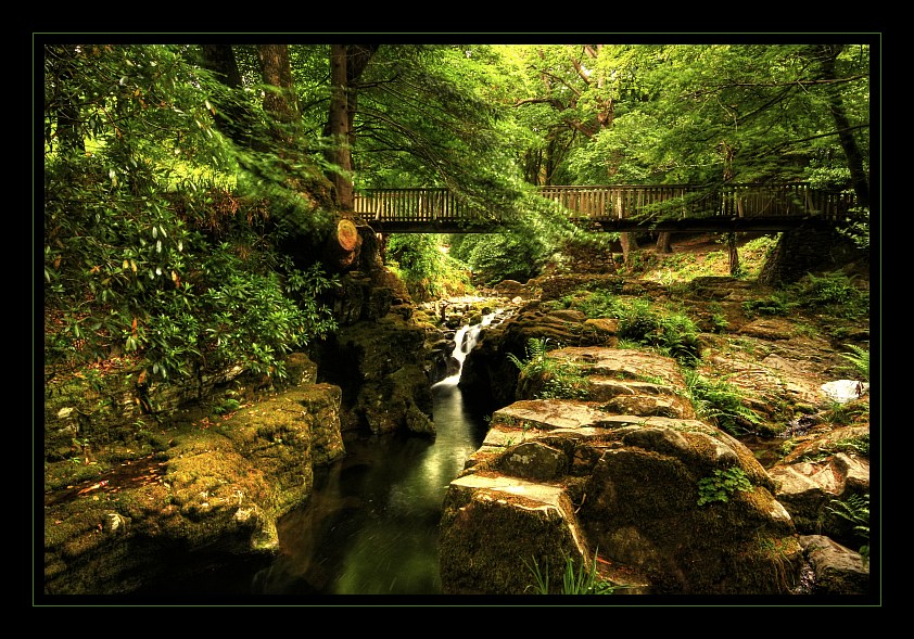 Tollymore Forest Park