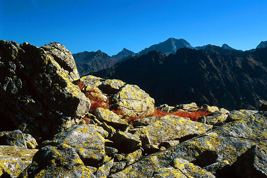 Tatry - jesień