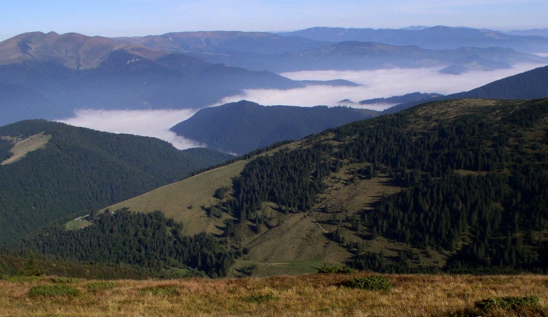 Mgły w dolinach o poranku