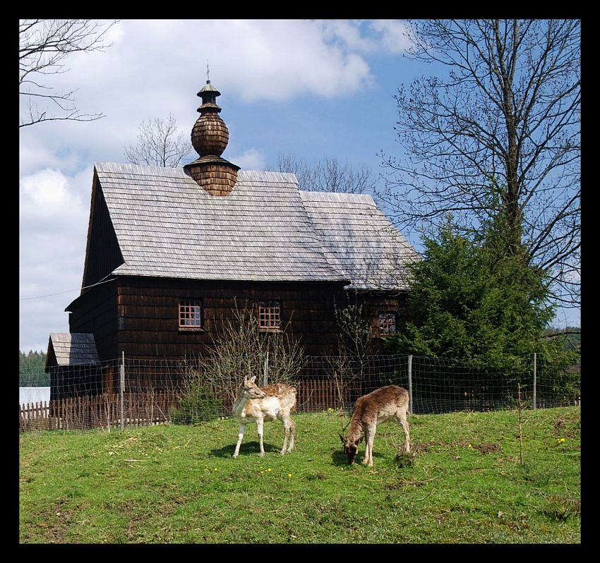 ŻŁOBEK (Bieszczady)