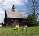 ŻŁOBEK (Bieszczady)