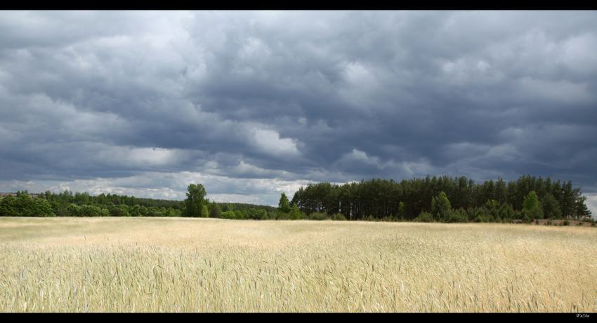 Spalone w słońcu...