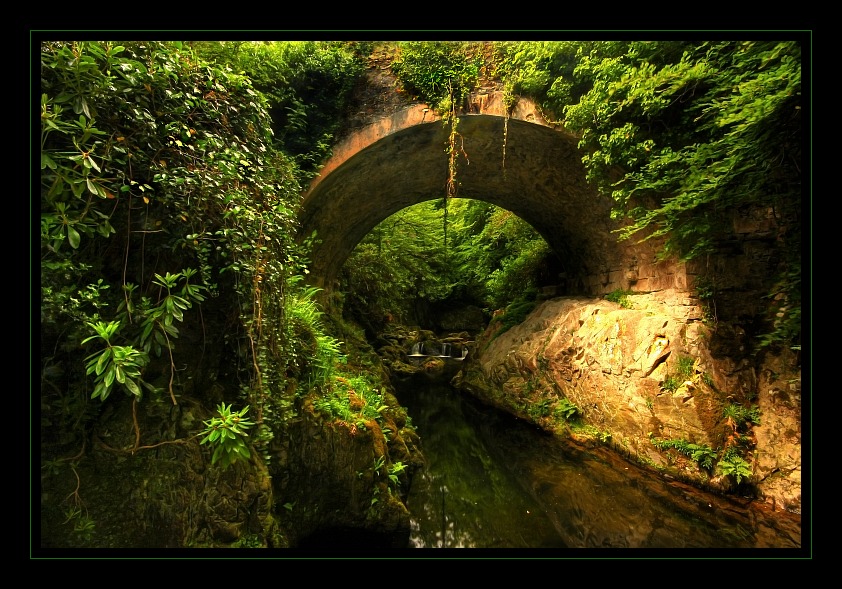 Tollymore Forest Park