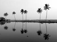 Backwaters