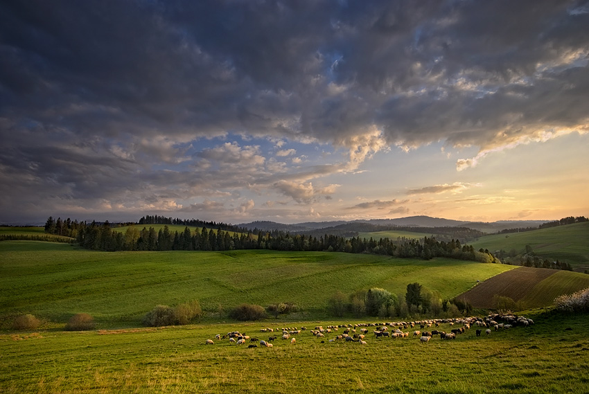 czarno-białe, biało-czarne