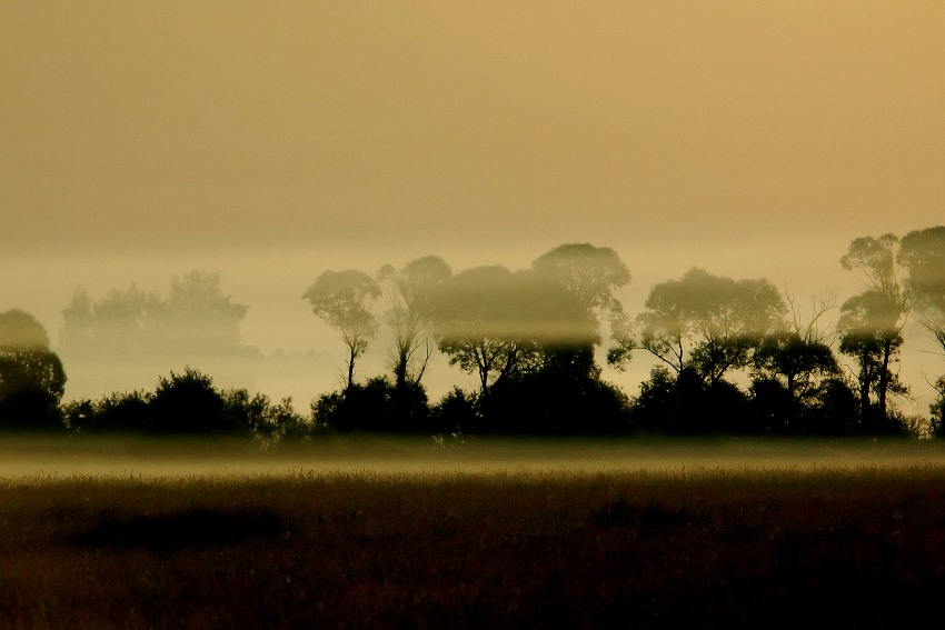 Masai Mara nad Narwią