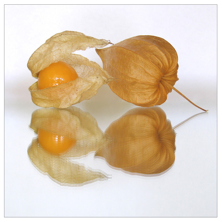 Miechunka peruwiańska - Physalis peruviana