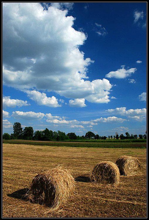 Polna układanka...