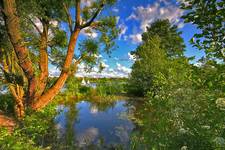 Brent Reservoir (The Welsh Harp)