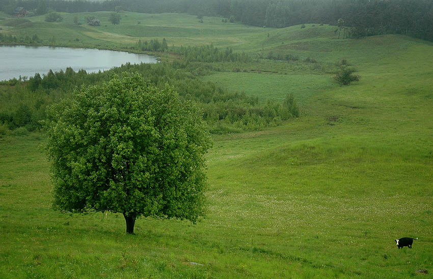 podwójna samotność