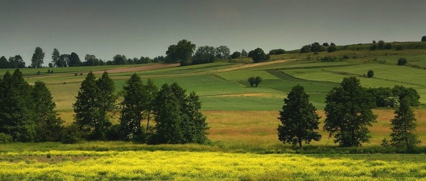 Czerwcowy pejzaż