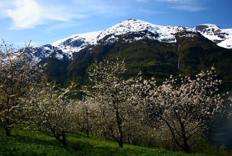 Hordaland, Oddafjorden