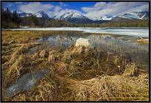 Strbskie Pleso