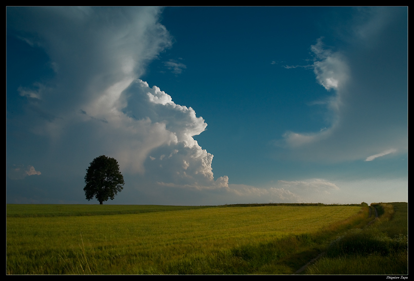 Pejzaż Pszczyński