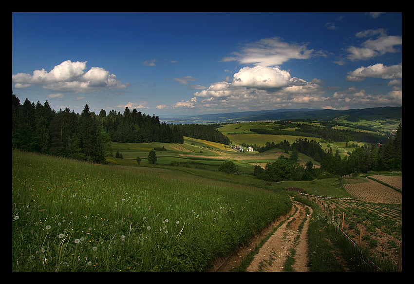 Pieniny