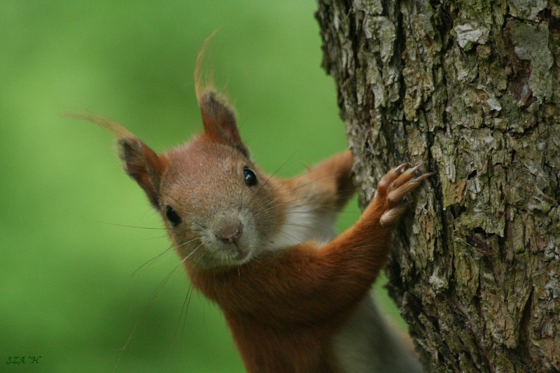 Hej!