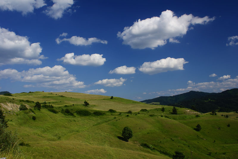 widok z Leśnicy