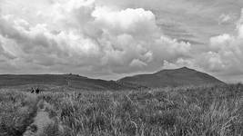 Bieszczady.