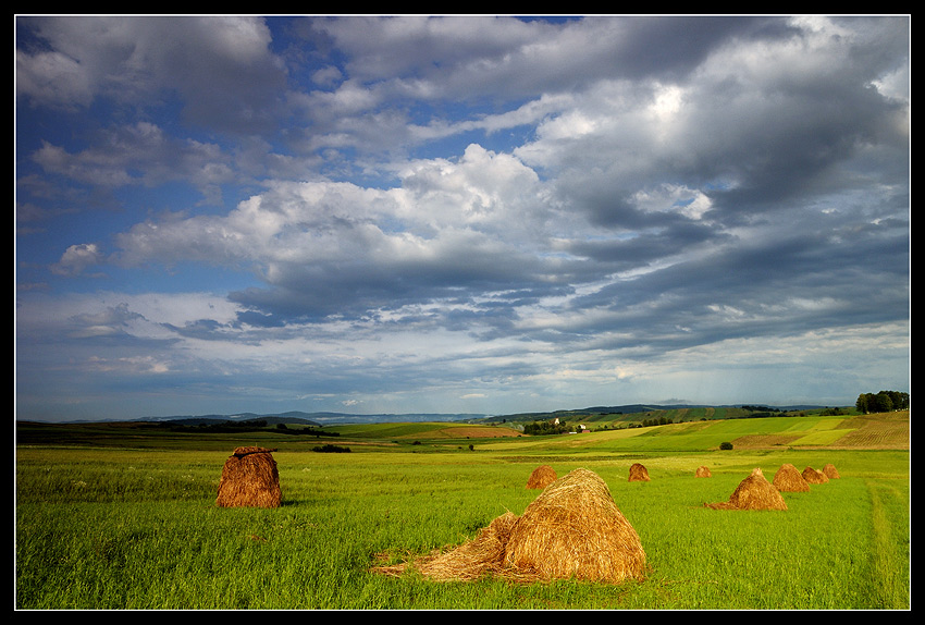 letnią porą