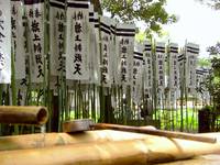 Kamakura - Shinto shrine