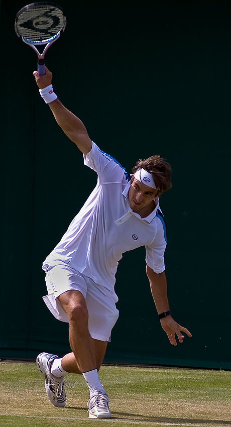 Tommy Robredo