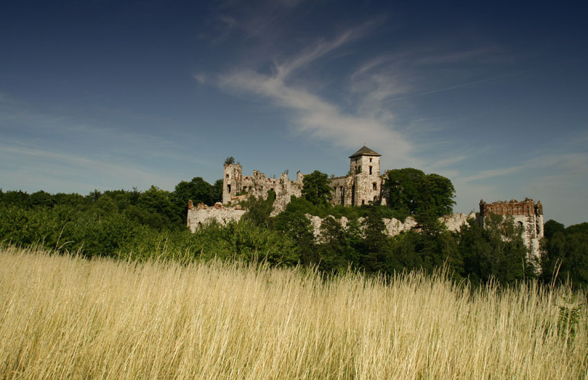 Ruiny Tęczyn - Rudno