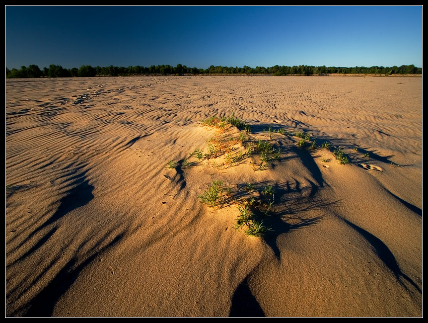 sand rapsody I