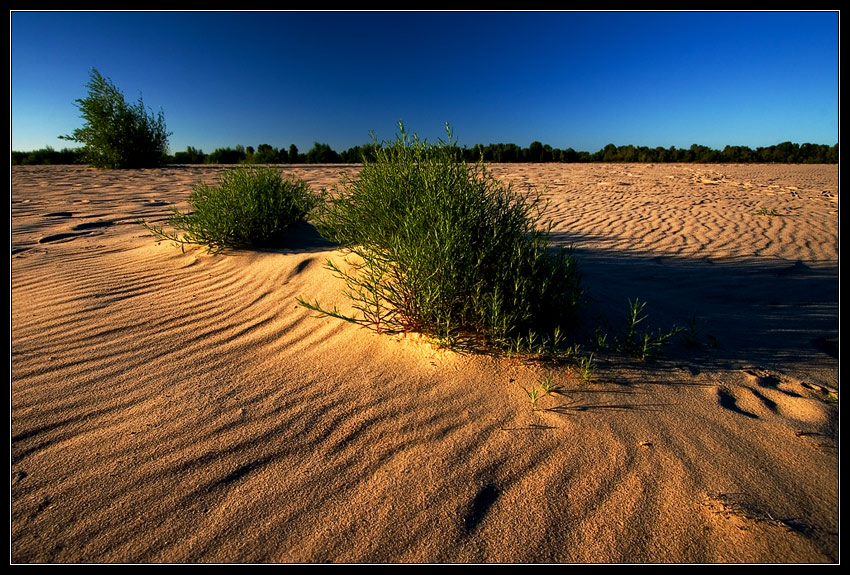 sand rapsody II