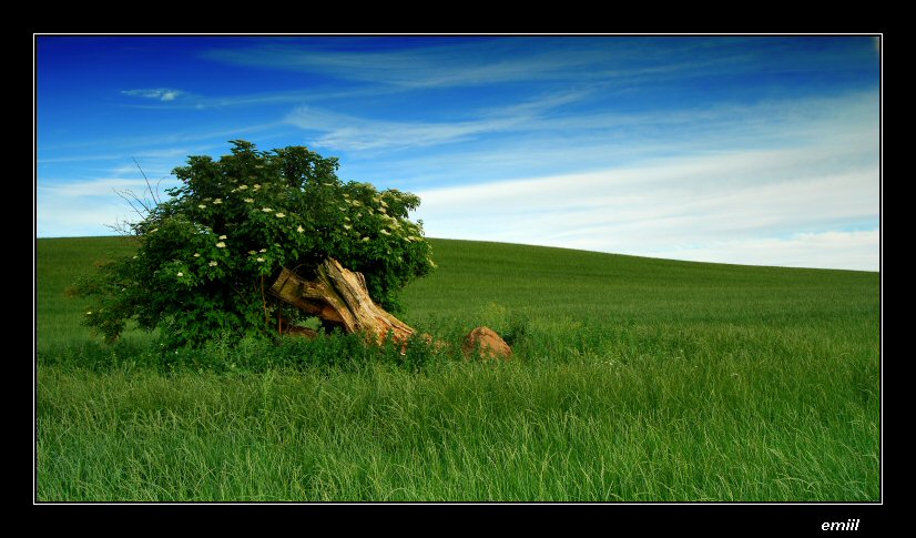 SAMOTNY STRAŻNIK