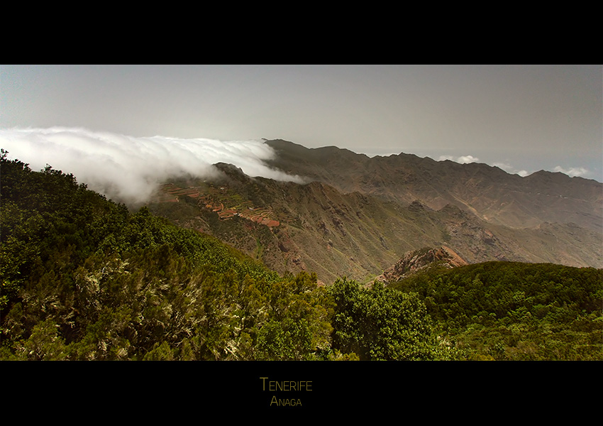 Tenerife - Anaga