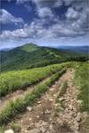 Bieszczady