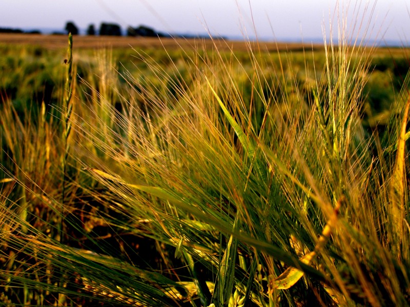 Zbliżenie z natura