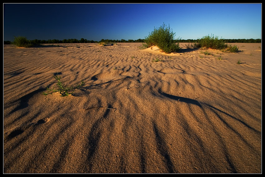 sand rapsody III