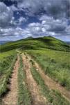 Bieszczady