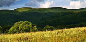 Bieszczady