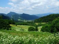 Pieniny