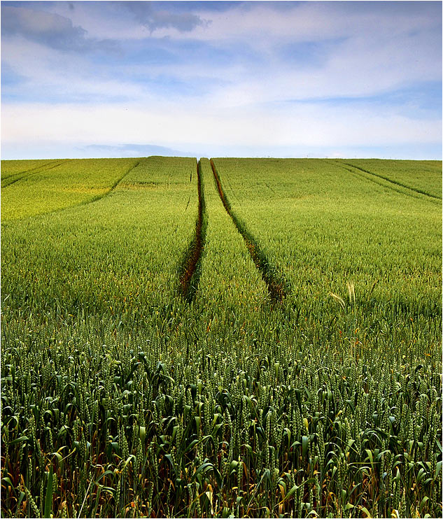 Pejzaż minimalny