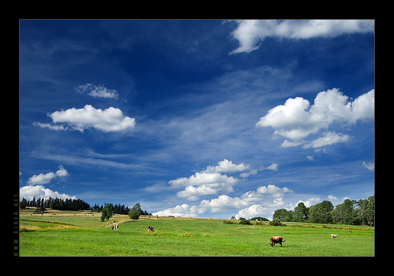 Grzebień, Gorce