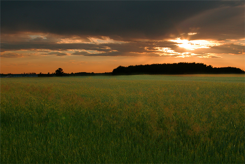 Słońcem malowane