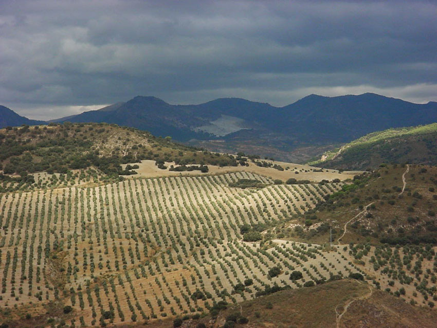 Sierra Nevada