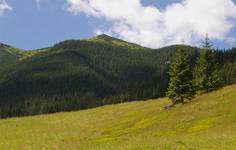 tatry