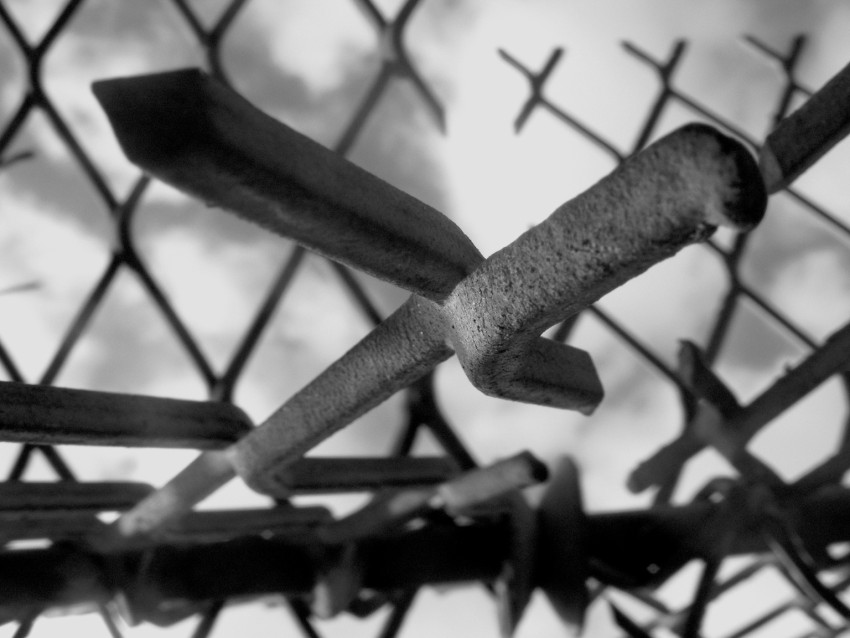 barb wire