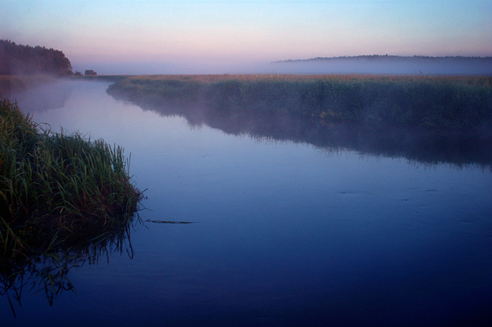 Narew