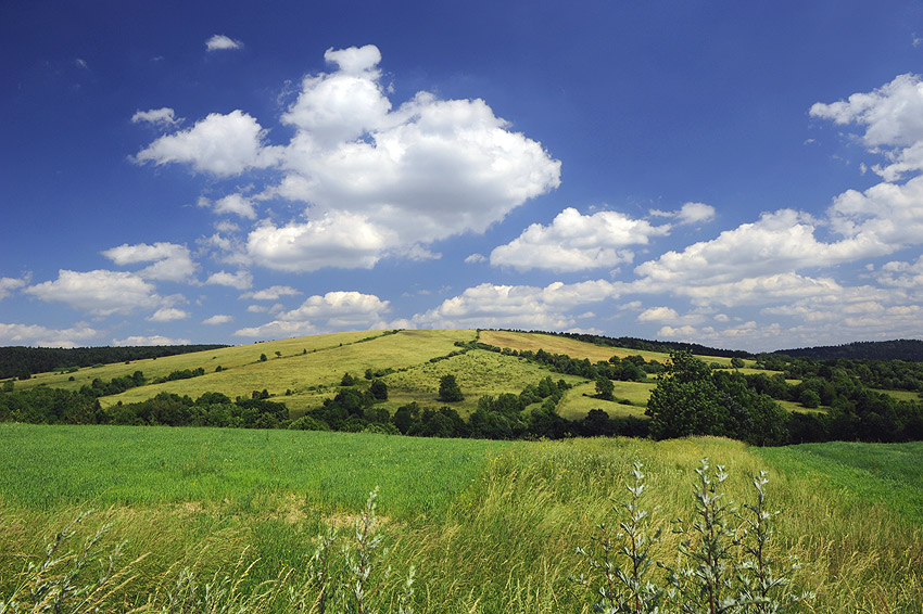 Beskid Niski