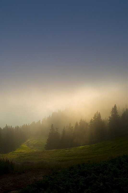 walka dnia z nocą