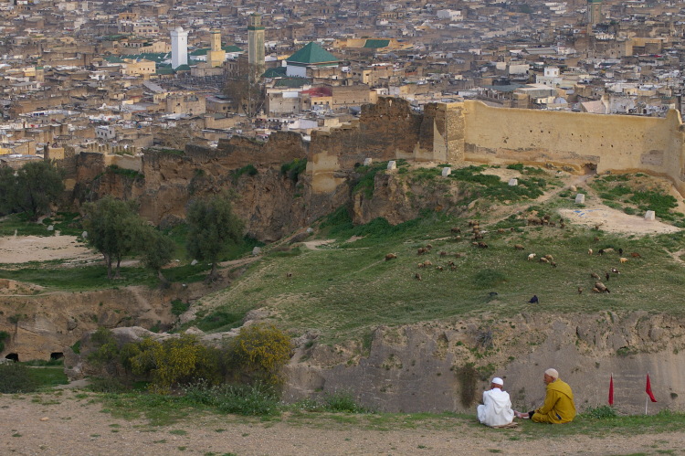 Fez