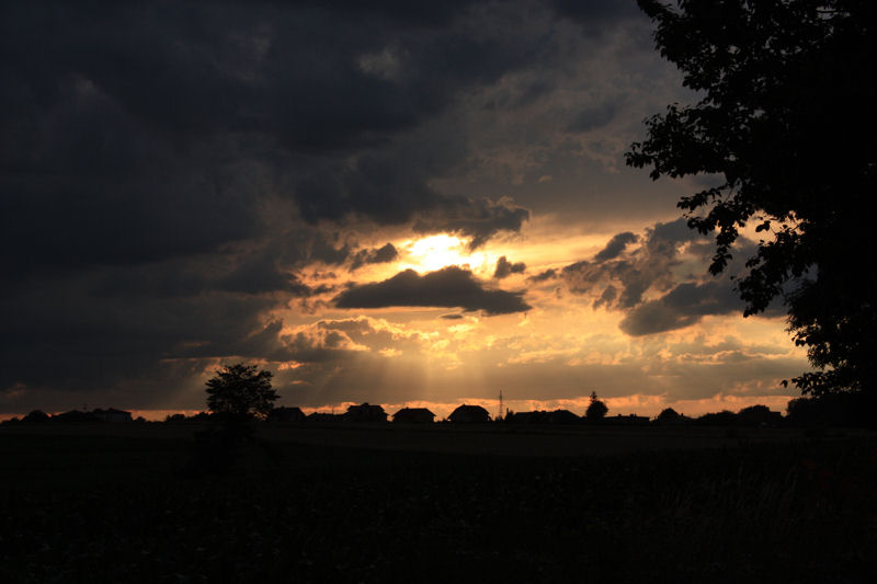 Zachód nad Pszczyną