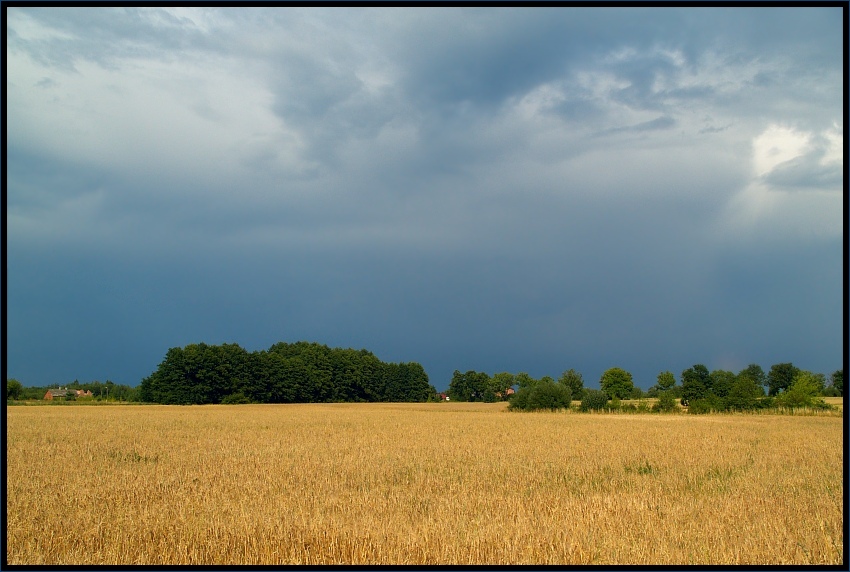 Przed burzą