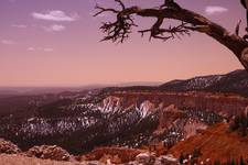 Bryce Canyon Spring 2008