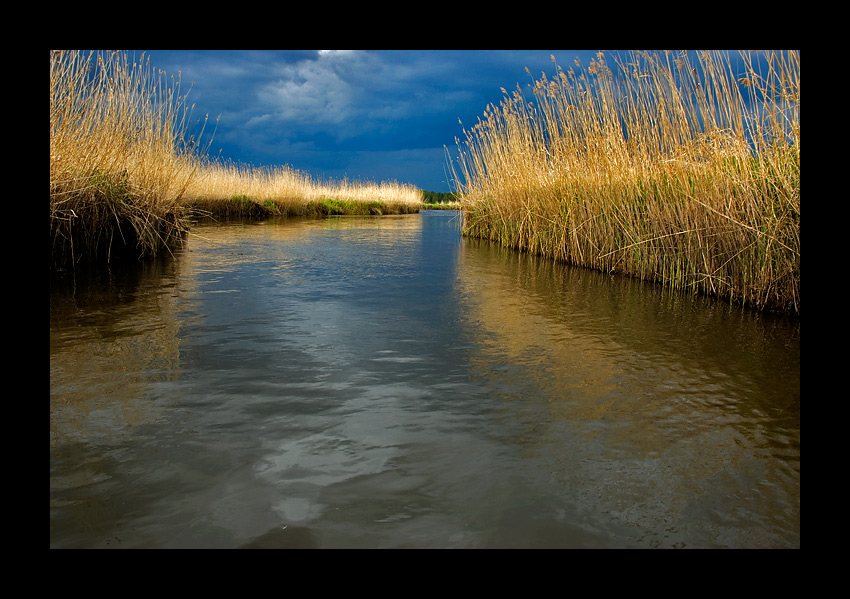 zbliża się burza nad Biebrzą